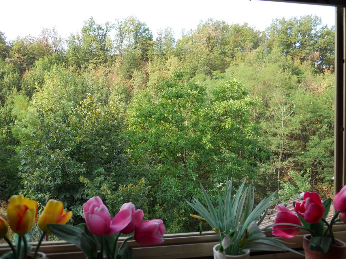 Casa Clotilde Bed & Breakfast Stazzano ภายนอก รูปภาพ