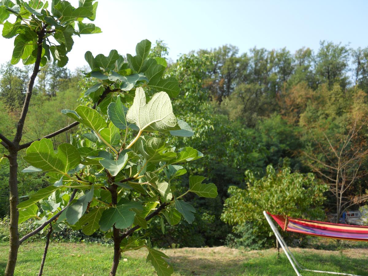 Casa Clotilde Bed & Breakfast Stazzano ภายนอก รูปภาพ