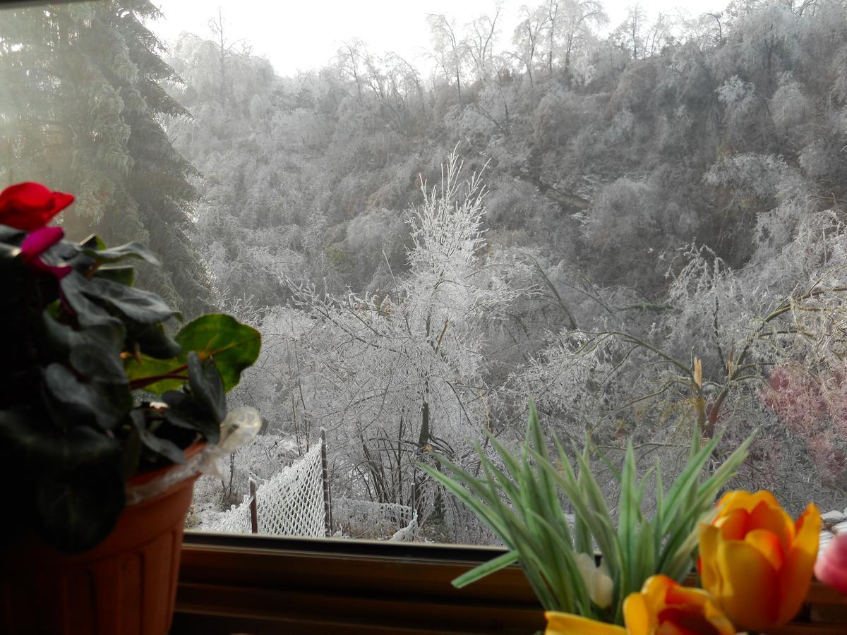 Casa Clotilde Bed & Breakfast Stazzano ภายนอก รูปภาพ